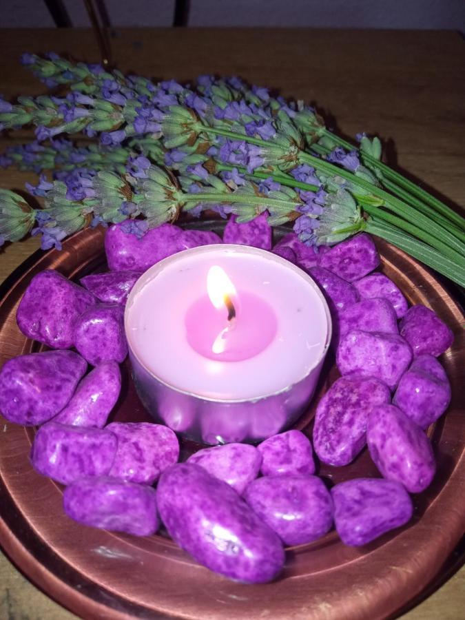 Lavanda M * تريبينيي
